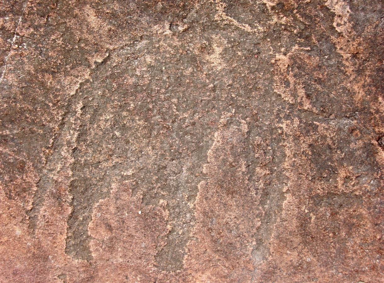 Grootfontein Ghaub Nature Reserve & Farm - One Namibia מראה חיצוני תמונה