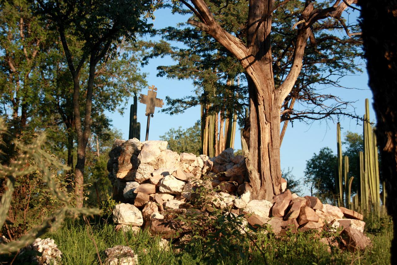 Grootfontein Ghaub Nature Reserve & Farm - One Namibia מראה חיצוני תמונה